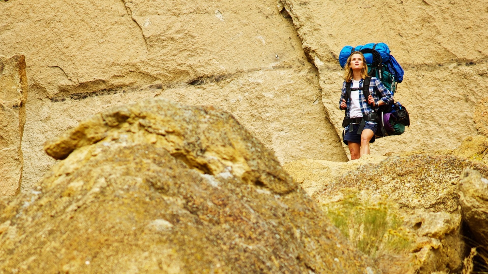 Download Reese Witherspoon Movie Wild HD Wallpaper