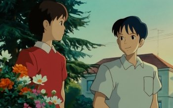 13 Whisper Of The Heart Hd Wallpapers Background Images Wallpaper Abyss