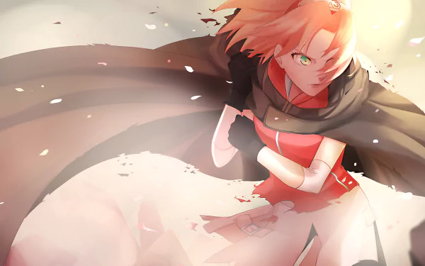 HD desktop wallpaper featuring Sakura Haruno from the anime Naruto. Sakura, with pink hair and intense expression, is set against a dynamic background with a flurry of petals.