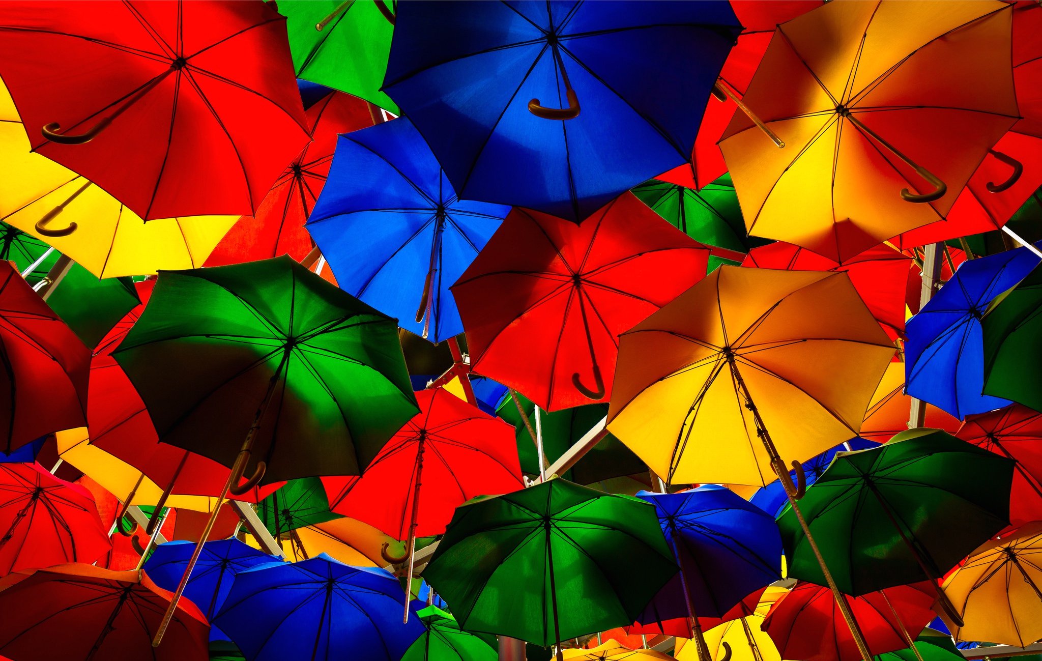 Photography Umbrella HD Wallpaper