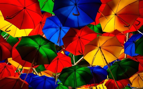 Umbrella 5k Retina Ultra HD Wallpaper | Background Image | 6016x4004
