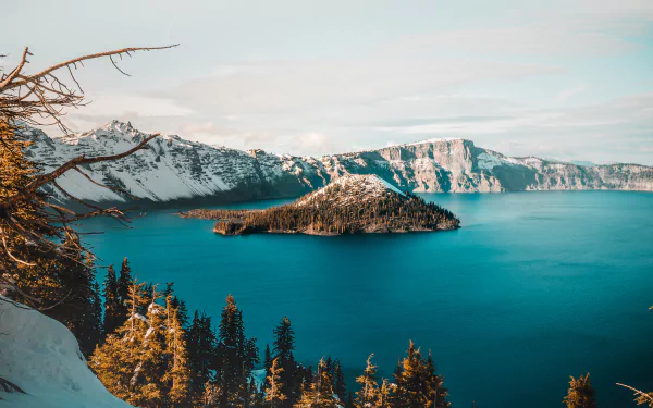 A stunning 4K Ultra HD view of Crater Lake featuring a tree-covered island surrounded by deep blue water and snow-capped cliffs under a clear sky.