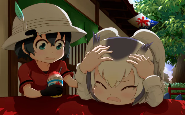 Northern White-faced Owl (Kemono Friends) Kaban (Kemono Friends) Anime Kemono Friends HD Desktop Wallpaper | Background Image