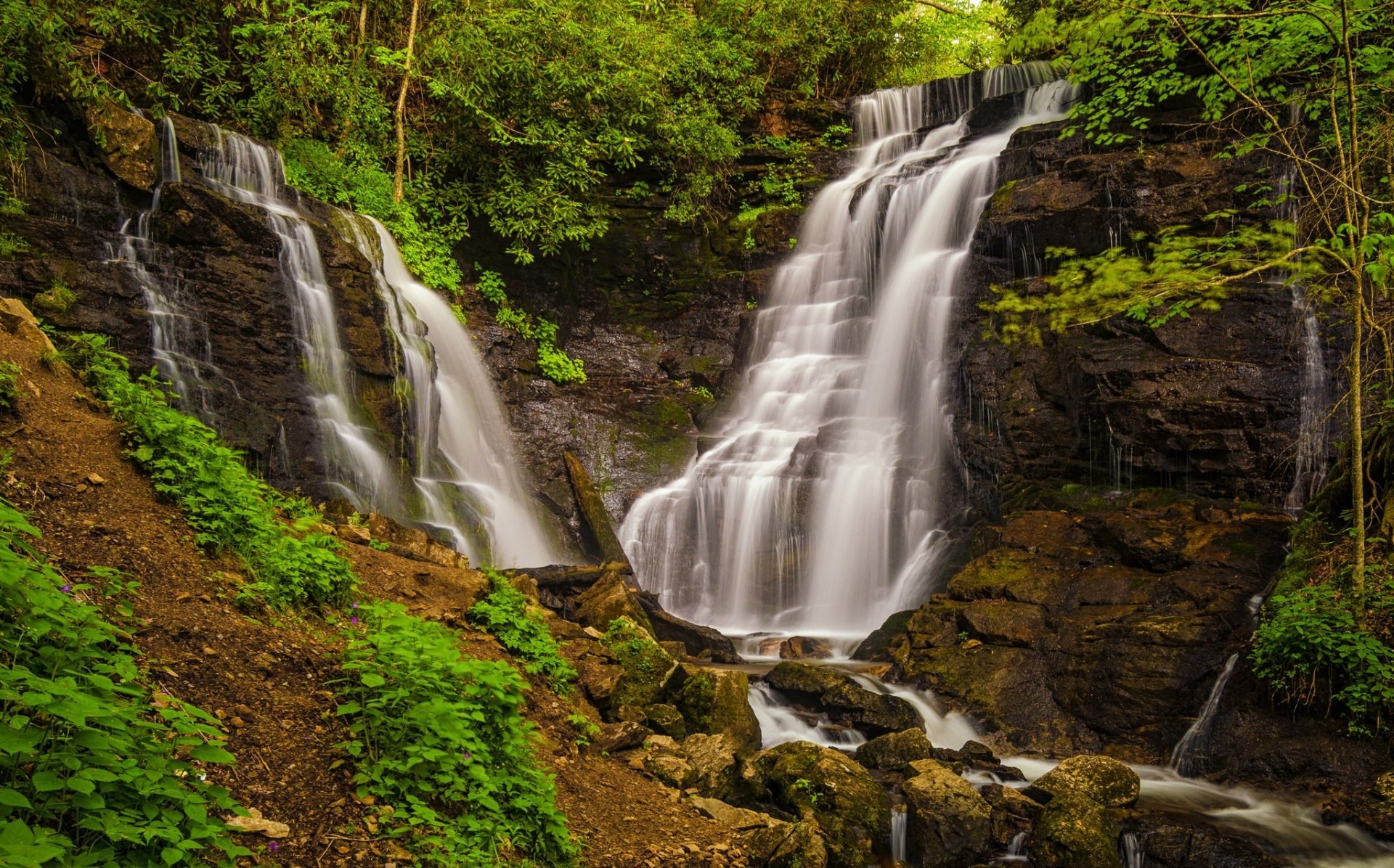 Download Green Forest Nature Waterfall HD Wallpaper