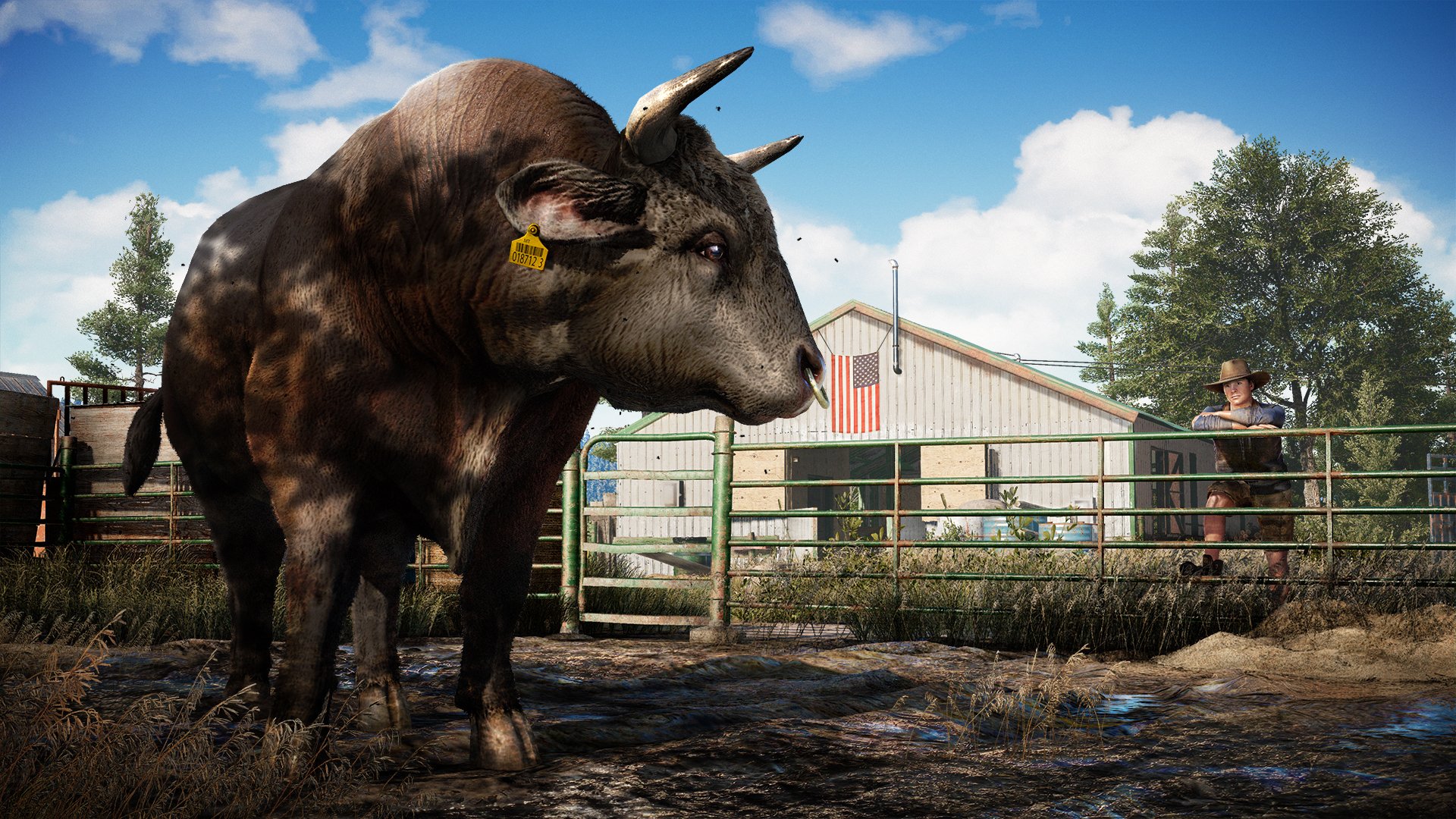 HD desktop wallpaper of Far Cry 5 featuring a large bull standing in front of a rustic farm building on a sunny day. An American flag is seen on the building, with a person standing in the background.