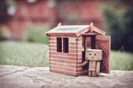Misc danbo HD PC desktop wallpaper showing a small cardboard Danbo figure standing in the doorway of a tiny wooden house on a blurred lawn background.
