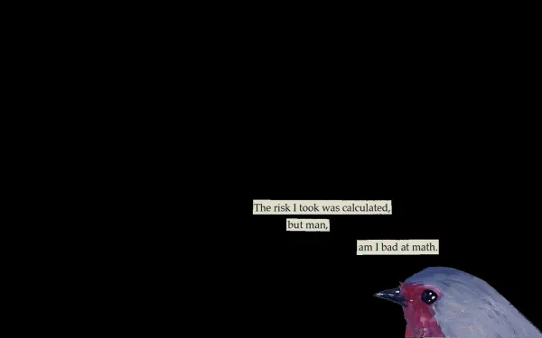 bird funny text HD Desktop Wallpaper | Background Image