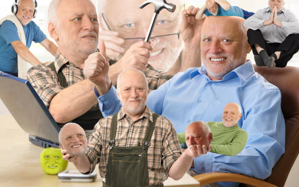 HD PC desktop wallpaper featuring multiple humorous images of Hide The Pain Harold in a funny meme collage.