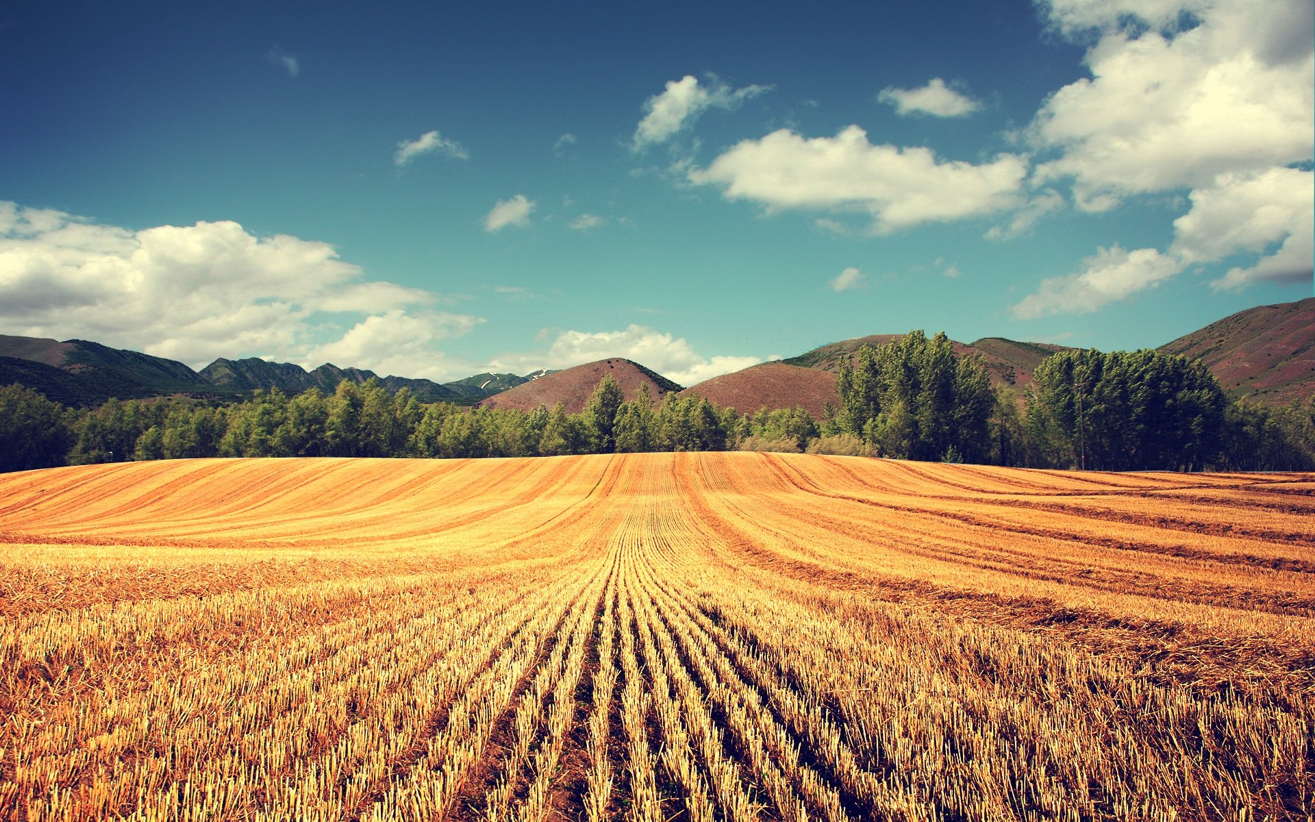 A serene landscape featuring a golden field under a blue sky adorned with fluffy clouds, framed by distant mountains and lush greenery—an ideal HD desktop wallpaper.