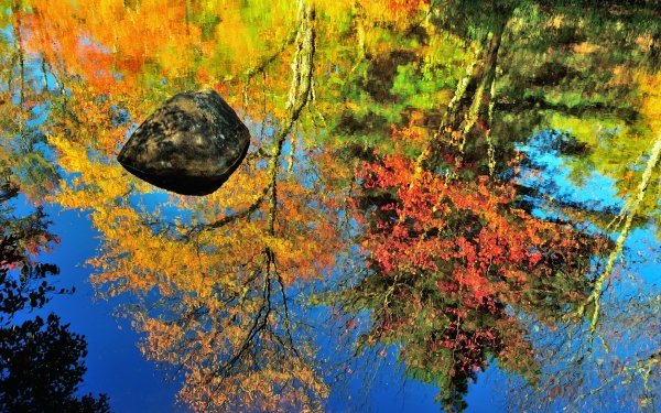 Nature Reflection Water Colorful Tree Fall HD Wallpaper | Background Image