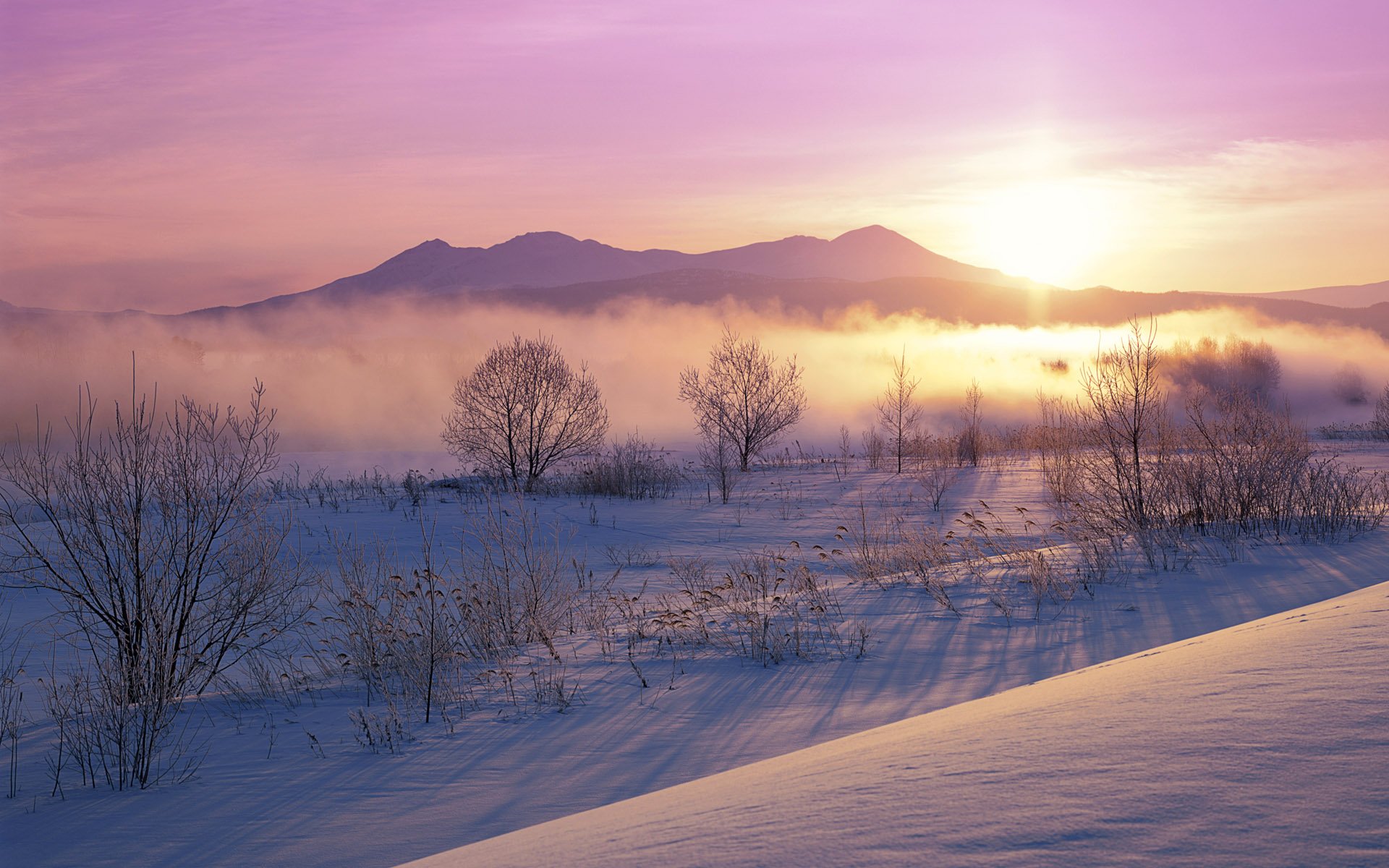 A serene winter sunrise illuminates fog-covered mountains, casting soft pink sunbeams over snow-blanketed fields and silhouetted trees, capturing the beauty of nature.