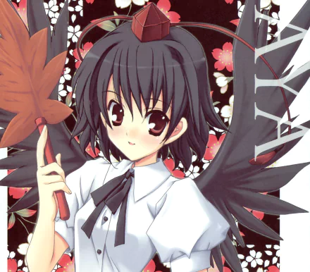 Aya Shameimaru Anime Touhou HD Desktop Wallpaper | Background Image