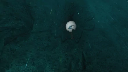  The Eye in the void