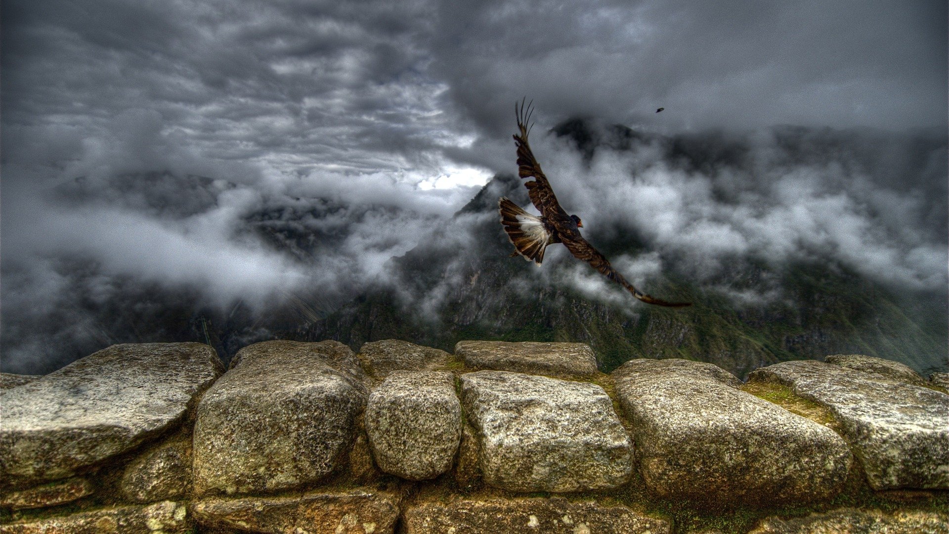 природа птица камни скачать