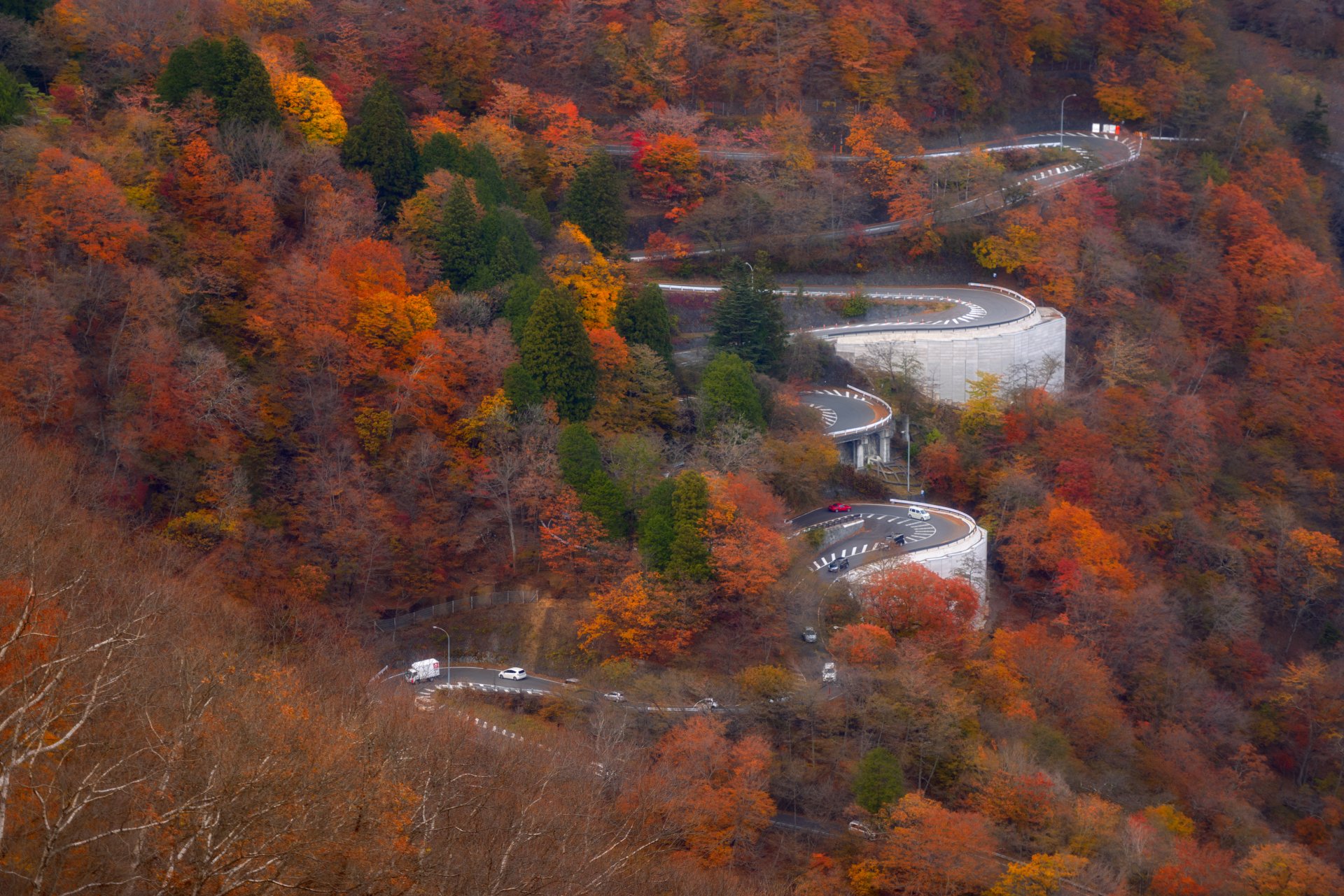 Download Road Forest Photography Fall 4k Ultra HD Wallpaper | 7360x4912 ...
