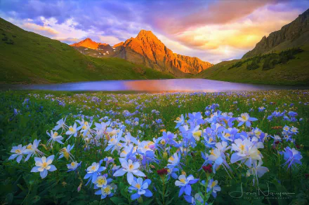 A vibrant spring landscape featuring blue flowers and grass by a tranquil lake, with sunlit mountains under a colorful sky, captured in HD for a desktop wallpaper.