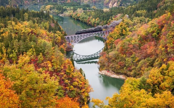 Vehicles Train Locomotive Fall Fukushima Forest Scenery River Bridge HD Wallpaper | Background Image