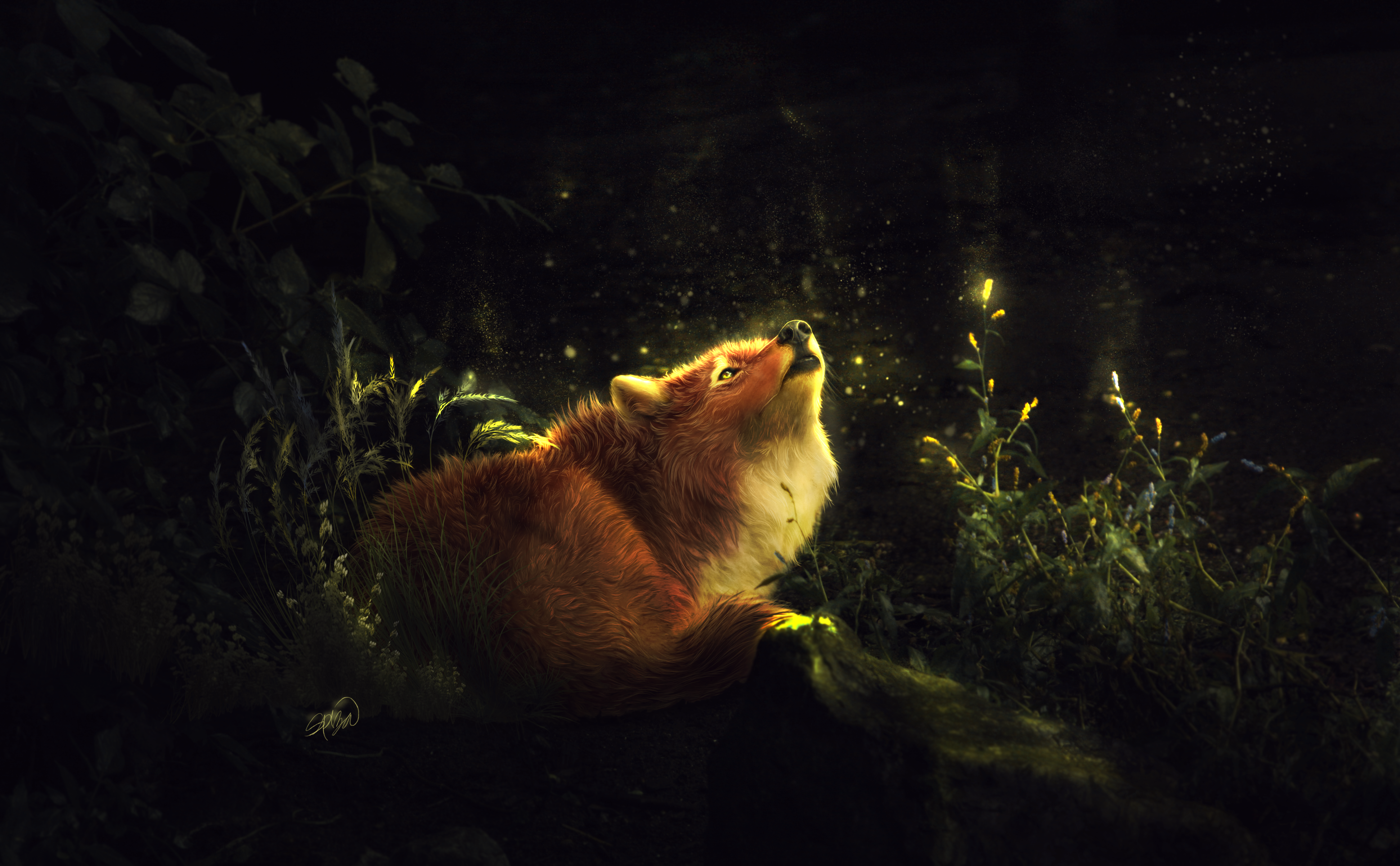 Fox in Enchanted Forest by Amphispiza