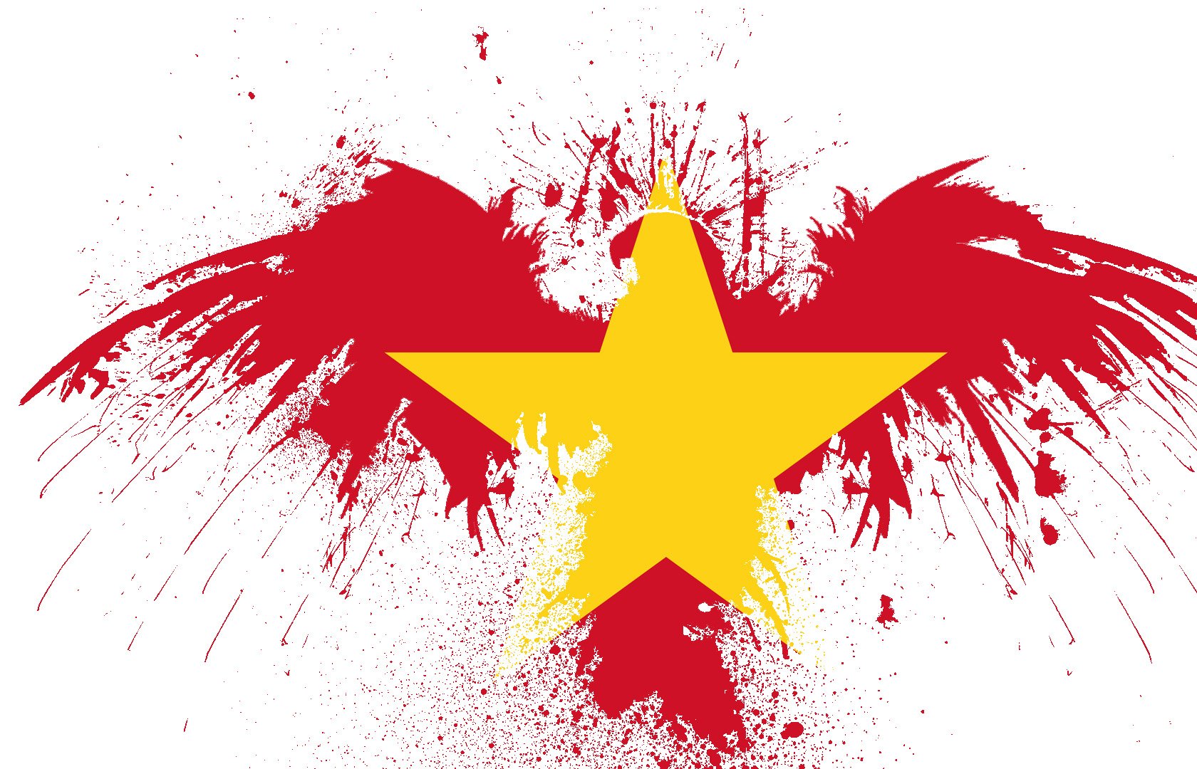 Download Misc Flag Of Vietnam Wallpaper