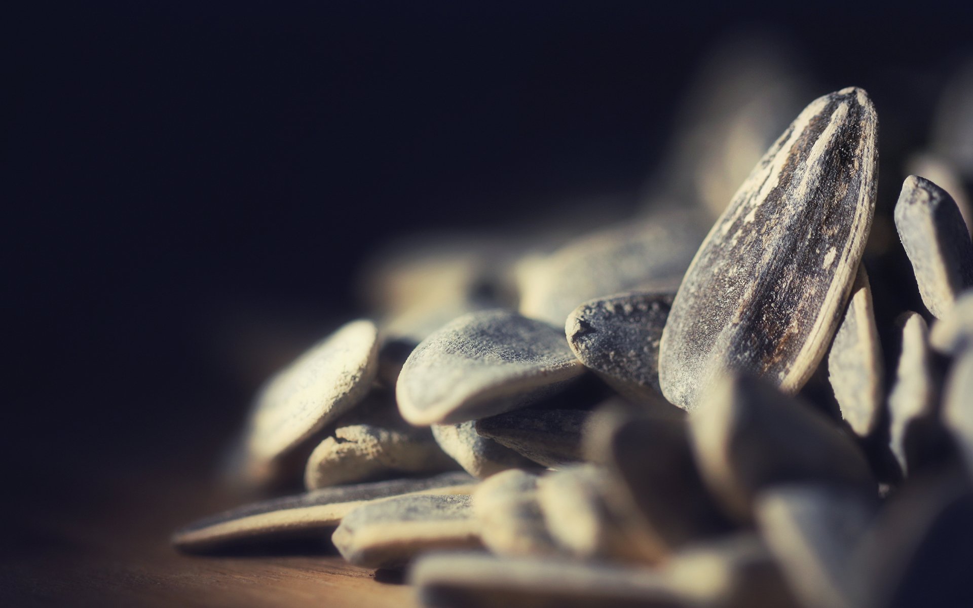  Seeds  HD Wallpaper  Background Image 2560x1600 ID 