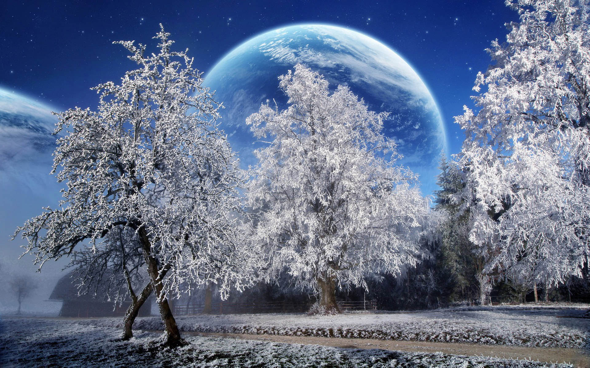 Snowy winter scenery in high definition desktop wallpaper.