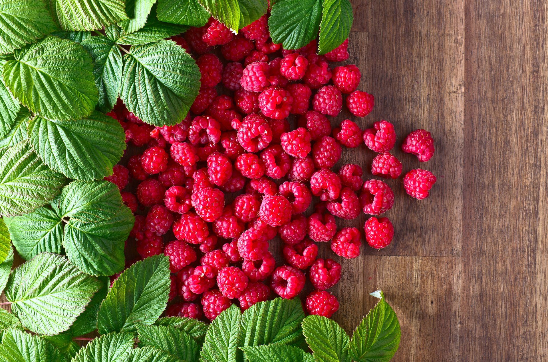 Food Raspberry 4k Ultra HD Wallpaper