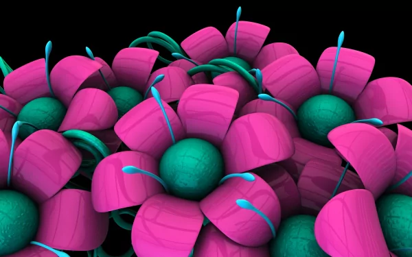 HD desktop wallpaper featuring CGI 3D flowers with vibrant pink petals and green centers against a black background, showcasing artistic digital art.
