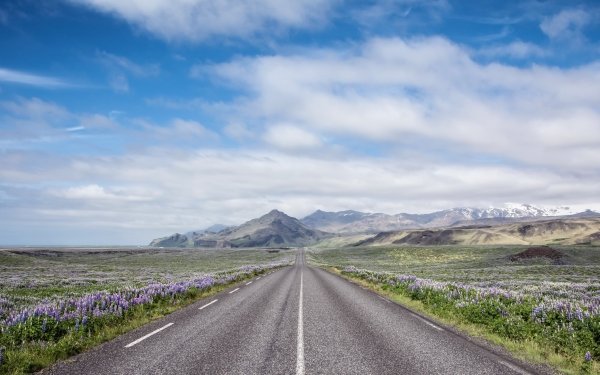 Man Made Road Nature Landscape Flower Cloud Mountain Sky HD Wallpaper | Background Image