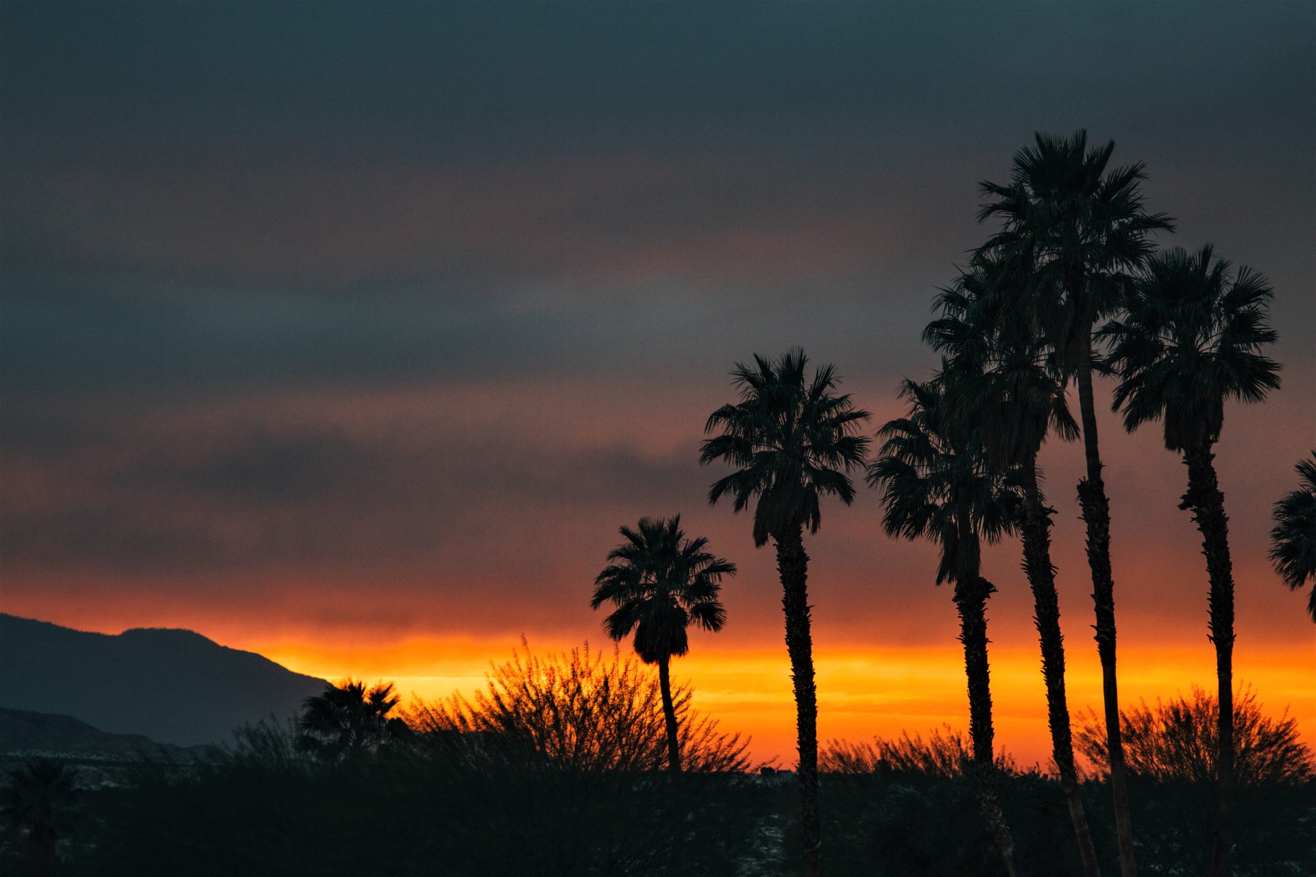 Download Tropical Silhouette Palm Tree Nature Sunset Tree HD Wallpaper