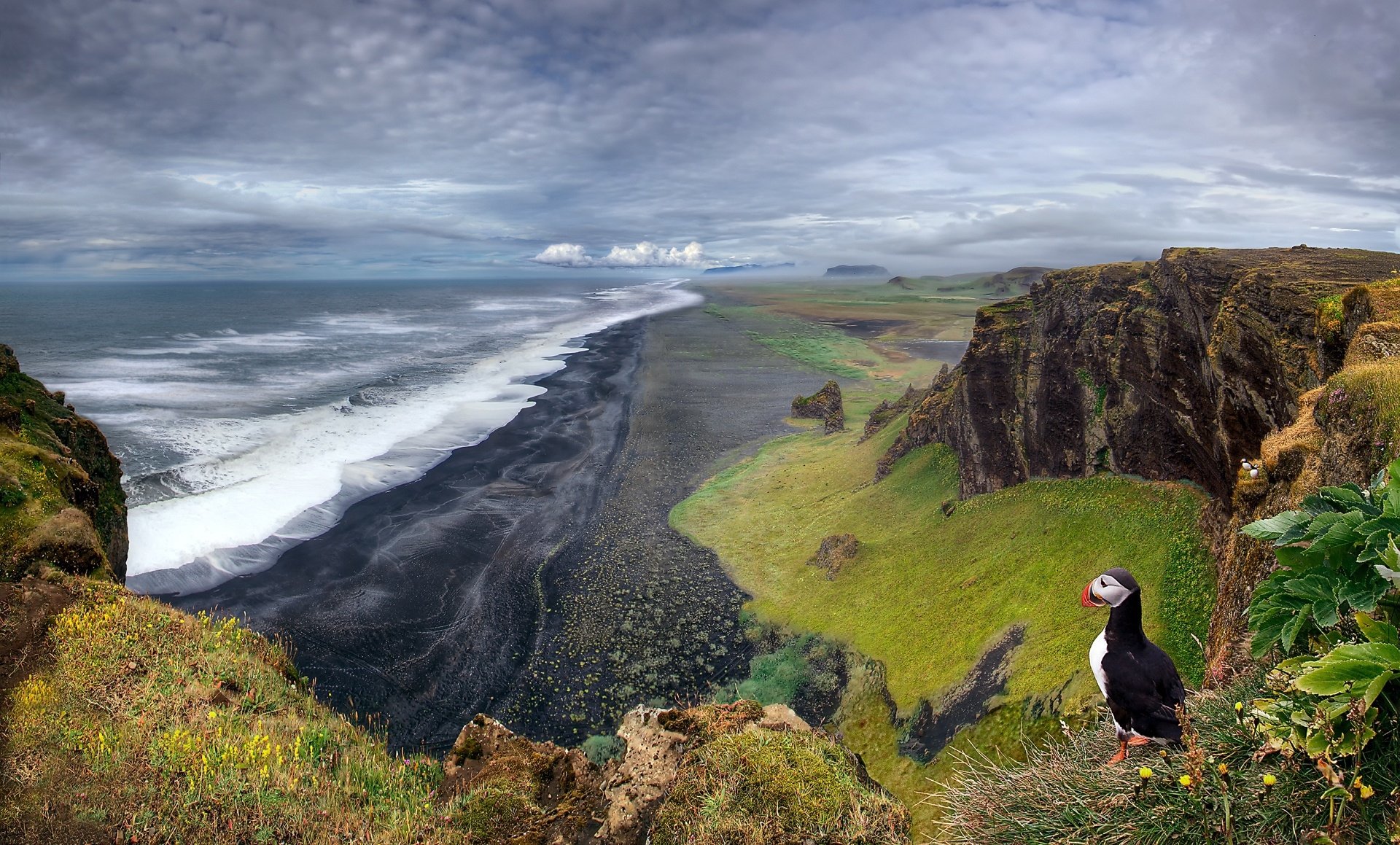 HD desktop wallpaper of a scenic ocean view with a puffin standing on grassy cliffs, overlooking a dramatic coastline under a cloudy sky.