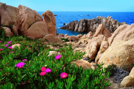  Coast of Sardinia, Italy