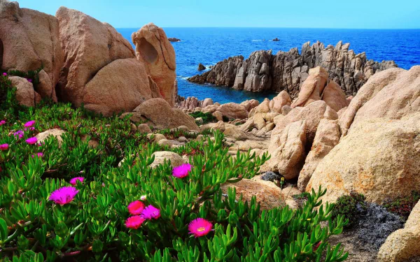  Coast of Sardinia, Italy