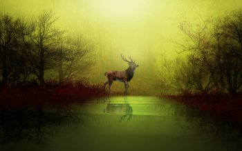 536 Deer HD Wallpapers | Background Images - Wallpaper Abyss - Page 7