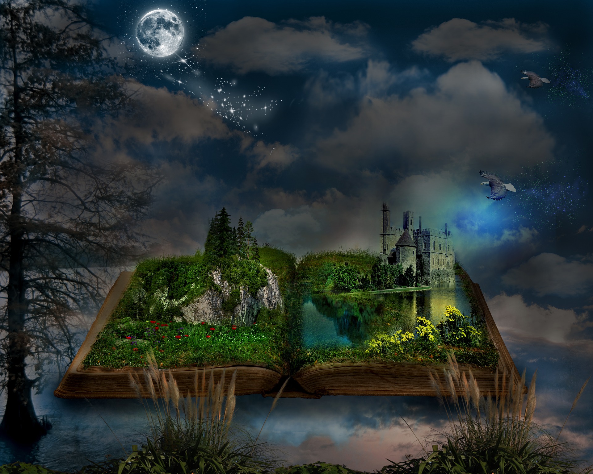 Fantasy Book HD Wallpaper | Background Image