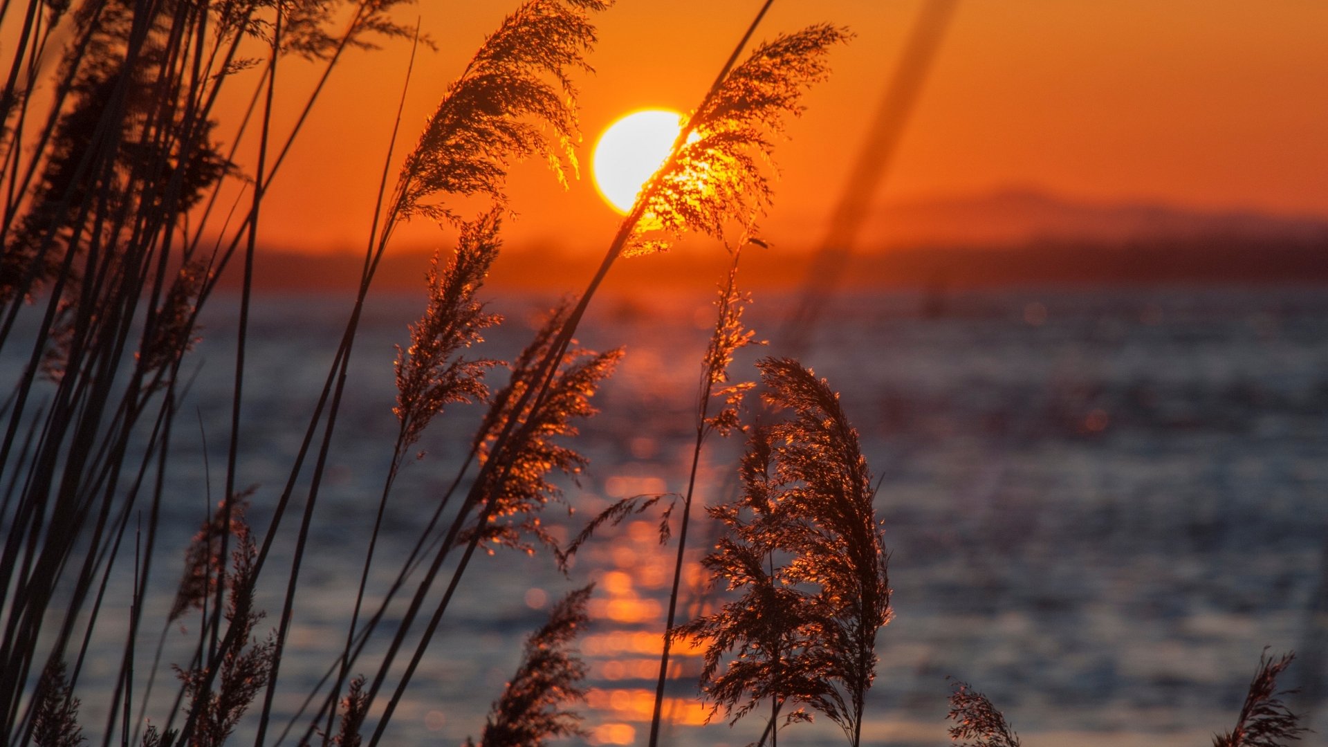 Ultra Hd Nature 4k Wallpaper For Pc