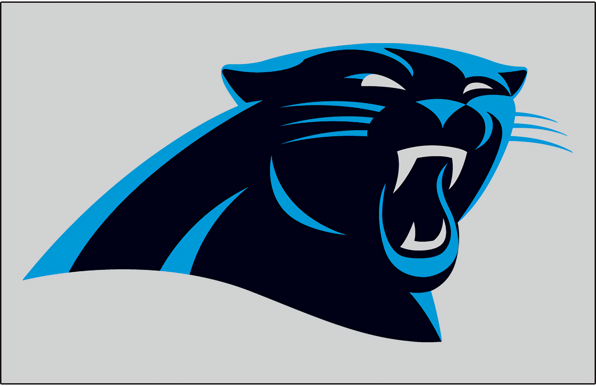 Download Carolina Panthers Sports HD Wallpaper