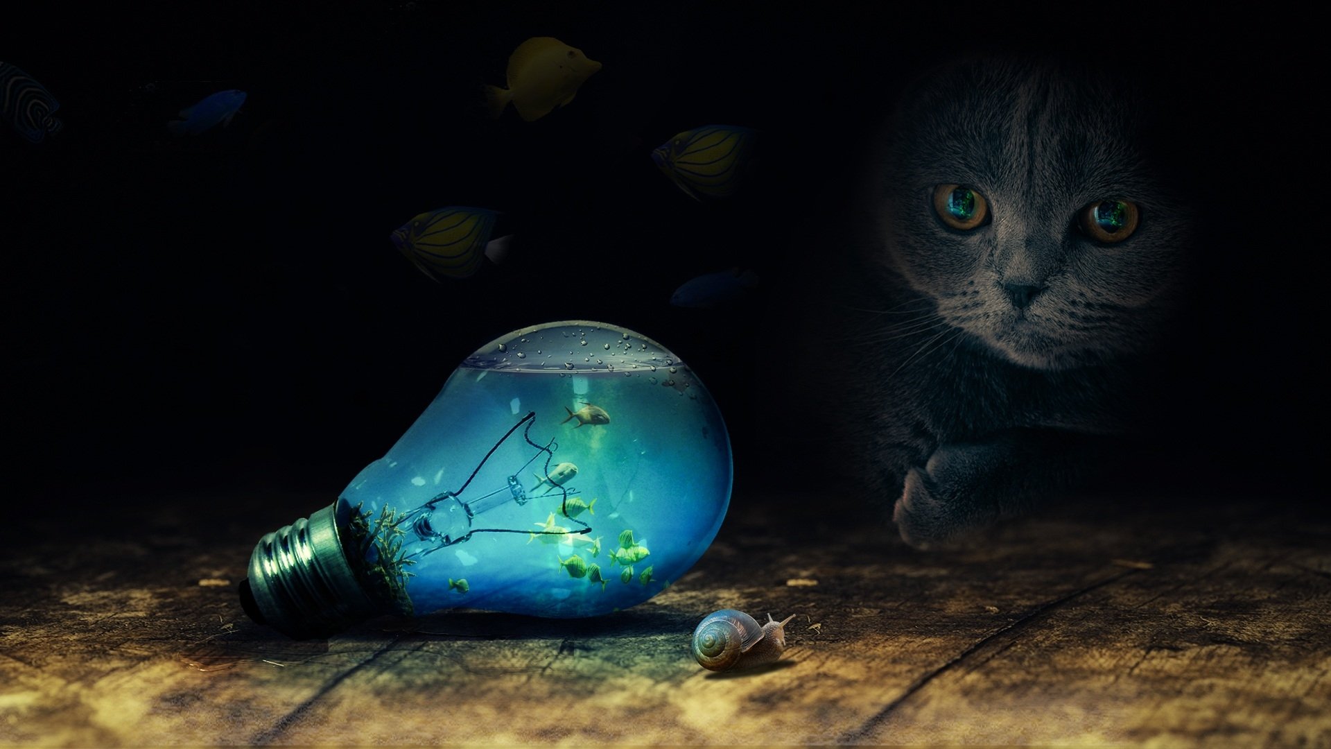 A manipulated HD desktop wallpaper featuring a cat gazing at a light bulb with fish inside, and a small snail on the ground.