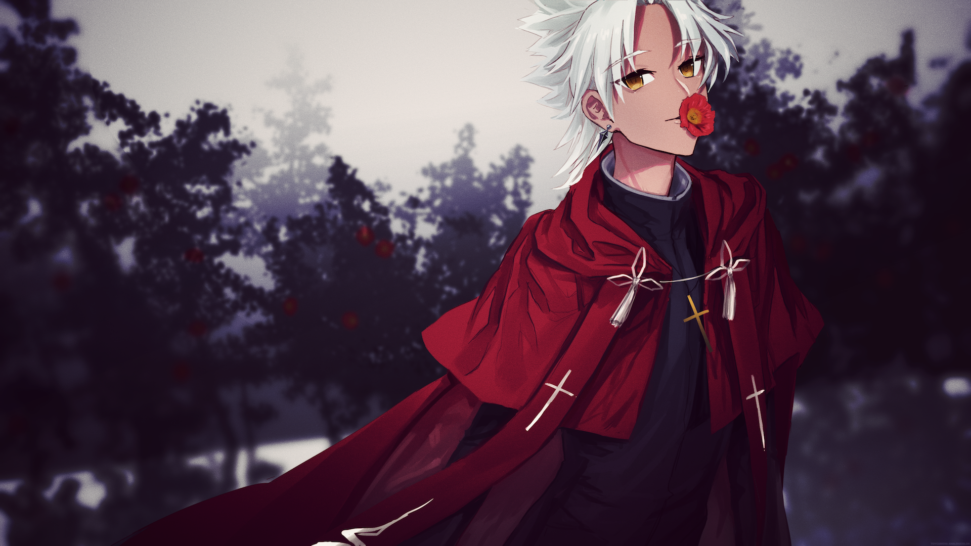 HD anime desktop wallpaper featuring Shirou Kotomine from Fate/Apocrypha, standing in a misty forest with a red flower in his mouth and a flowing red cloak.