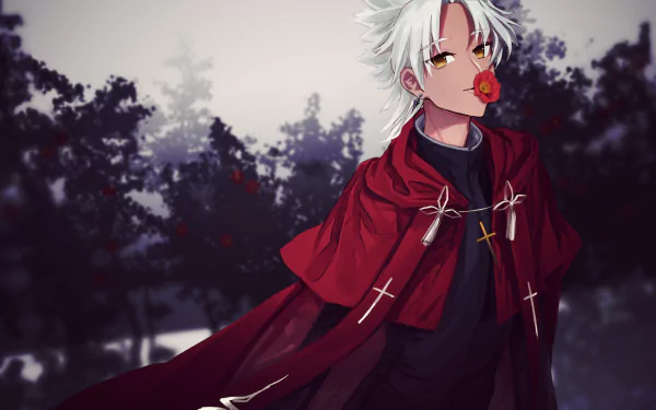 Shirou Kotomine Anime Fate/Apocrypha HD Desktop Wallpaper | Background Image