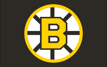 Boston Bruins Pfp