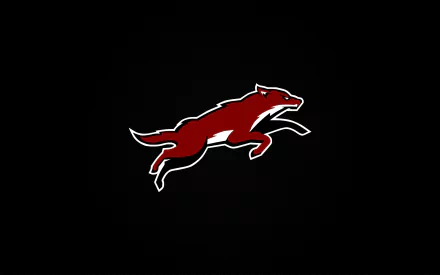 Arizona Coyotes Sports HD Desktop Wallpaper | Background Image