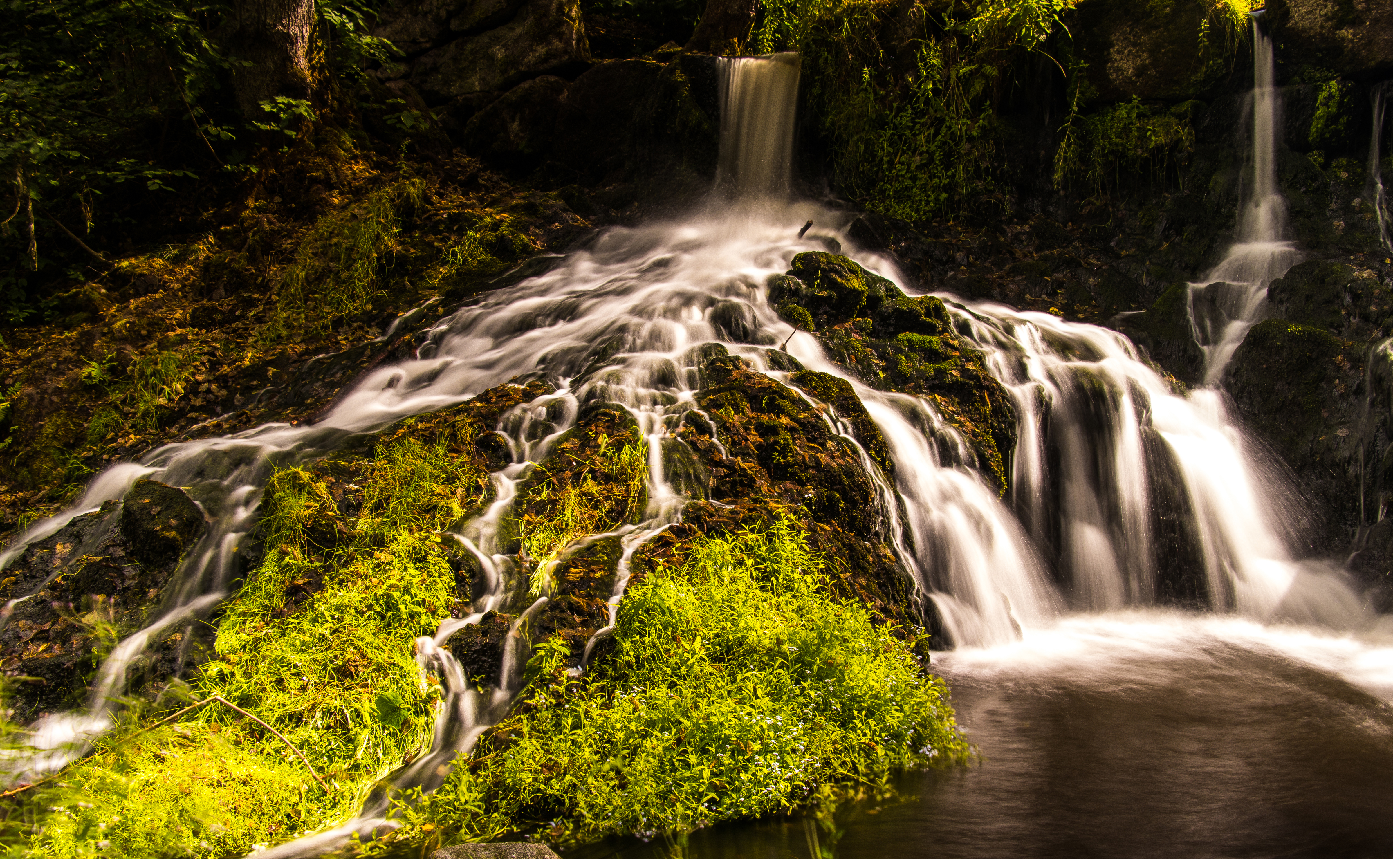Nature Waterfall HD Wallpaper | Background Image