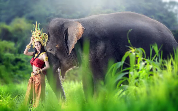 Asian brunette model in Thai traditional costume poses beside a majestic elephant in a lush green field — HD PC desktop wallpaper.