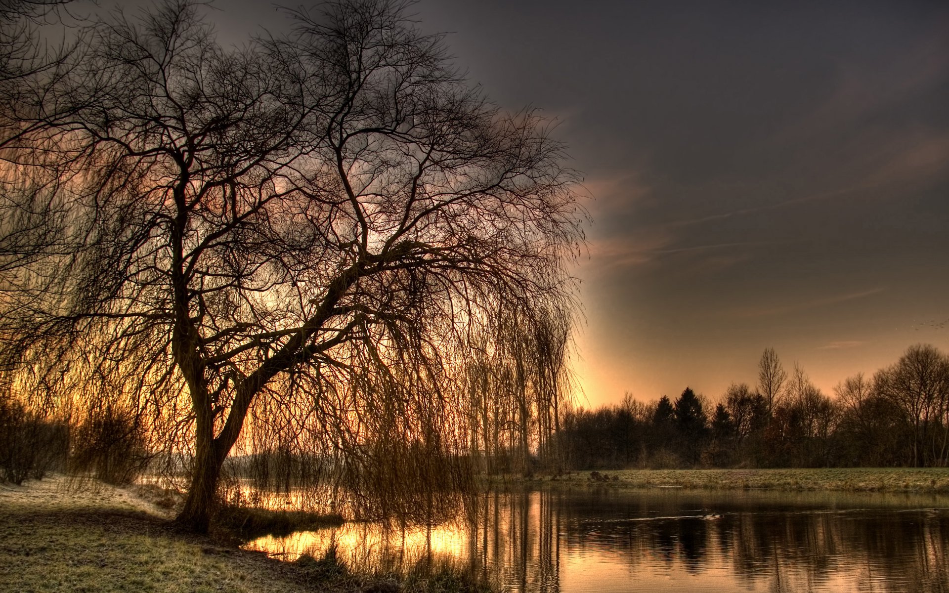 A serene sunset over water, with a silhouetted tree in a tranquil natural setting, creating a captivating and scenic wallpaper for any desktop background.