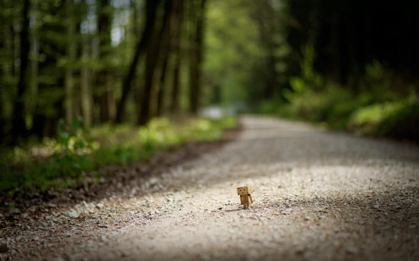 A small Danbo figure stands on a dirt road surrounded by blurred green trees, captured with shallow depth of field in this HD PC desktop wallpaper.