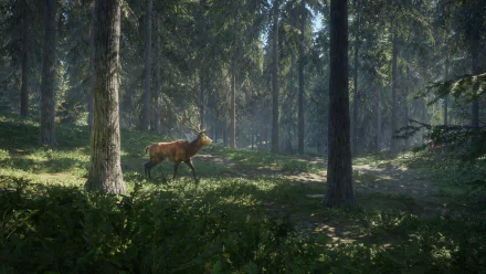 HD PC desktop wallpaper from theHunter: Call of The Wild video game, showing a deer standing in a sunlit dense forest.