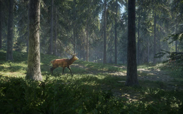 HD PC desktop wallpaper from theHunter: Call of The Wild video game, showing a deer standing in a sunlit dense forest.