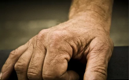 Close-up photography of a weathered hand, textured skin and veins in rich detail — 2K Quad HD PC desktop wallpaper and background.