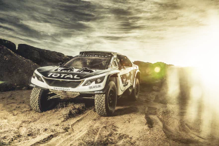 Sepia-toned 4K Ultra HD rally car races on sunny sandy terrain, kicking up dust against a dramatic sky, captured as a dynamic sports desktop wallpaper.