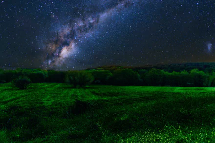 HD desktop wallpaper featuring a starry night sky with the Milky Way galaxy in view above a lush, green nature landscape.